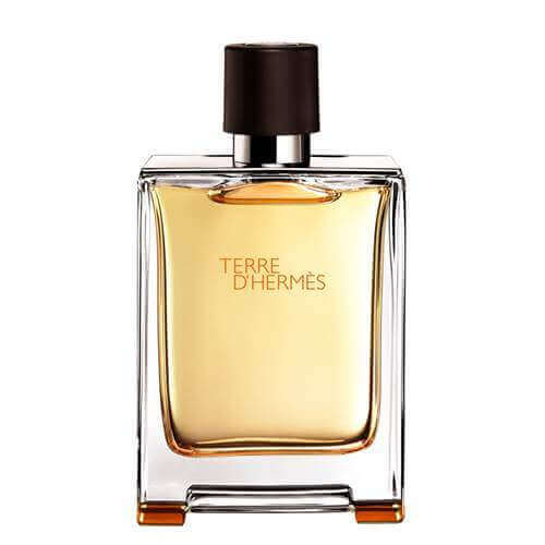 100ml Hermès Terre d'Hermès EDT, refined masculine fragrance with citrus and woody notes in a minimalist brown glass bottle with silver detailing.